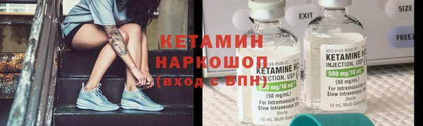 сатива Надым