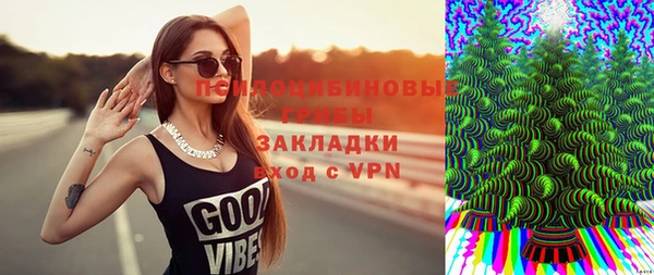 spice Михайлов