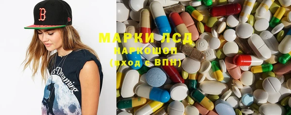 сатива Надым