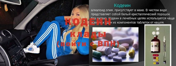 трава Наволоки