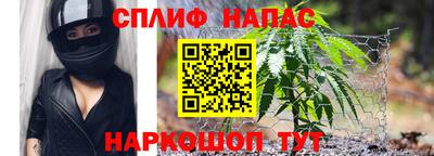 альфа пвп Волгодонск