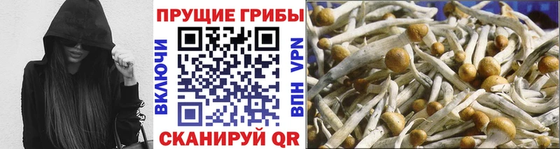 Галлюциногенные грибы GOLDEN TEACHER  Знаменск 