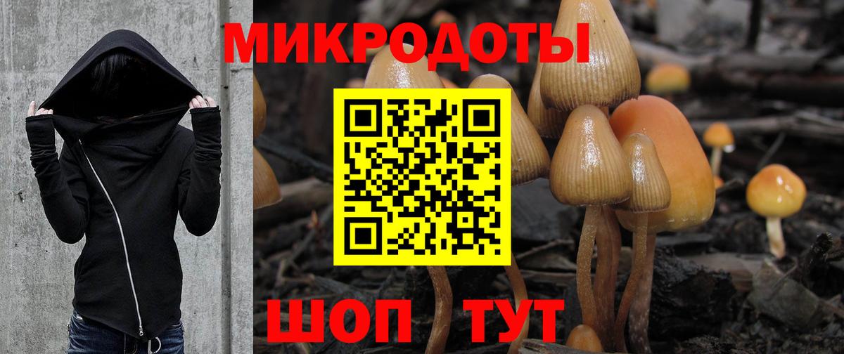 Галлюциногенные грибы MAGIC MUSHROOMS Знаменск